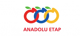 Anadolu Etap